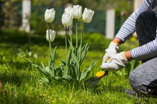 Gardener preparing to trim a hedge in Barkingside front garden