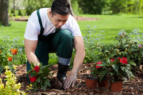 Operative trimming a residential hedge in Barkingside using professional equipment