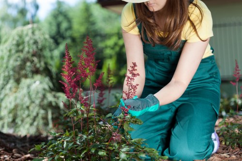 Customer completing a secure payment for Hedge Trimming Barkingside